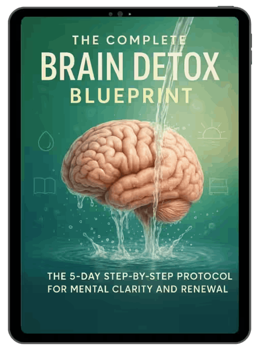 NeuroVera-bonus-2-The Complete Brain Detox Blueprint